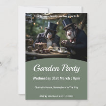 Chimpanzees Tea Party