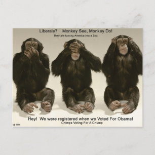 Chimps For A Chump Postcard