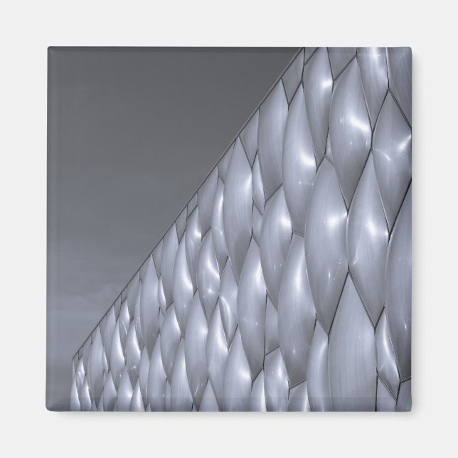 China, Beijing. National Aquatics Centre Magnet (Front)