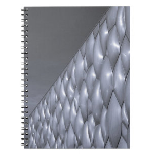 China, Beijing. National Aquatics Centre Notebook