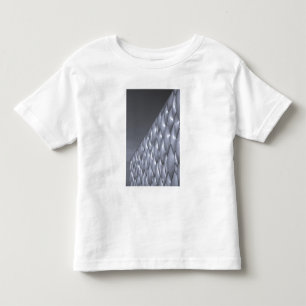 China, Beijing. National Aquatics Centre Toddler T-Shirt