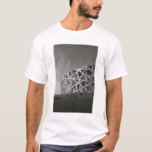 China, Beijing. National Stadium, Venue for the T-Shirt