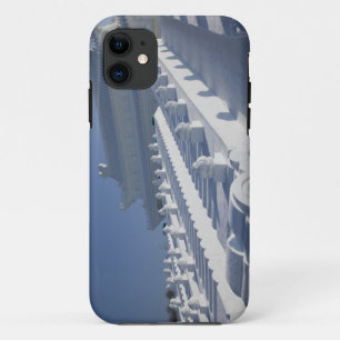 CHINA, Heilongjiang Province, Haerbin (Harbin). 2 iPhone 11 Case
