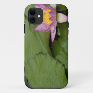 China, Hong Kong, New Territories. Chi Lin iPhone 11 Case