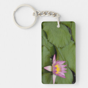 China, Hong Kong, New Territories. Chi Lin Key Ring