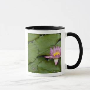 China, Hong Kong, New Territories. Chi Lin Mug