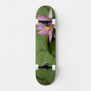 China, Hong Kong, New Territories. Chi Lin Skateboard