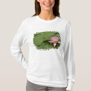 China, Hong Kong, New Territories. Chi Lin T-Shirt