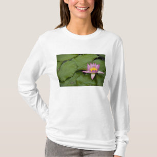 China, Hong Kong, New Territories. Chi Lin T-Shirt