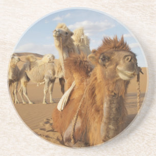 China, Inner Mongolia, Badain Jaran Desert 2 Coaster