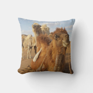 China, Inner Mongolia, Badain Jaran Desert 2 Cushion