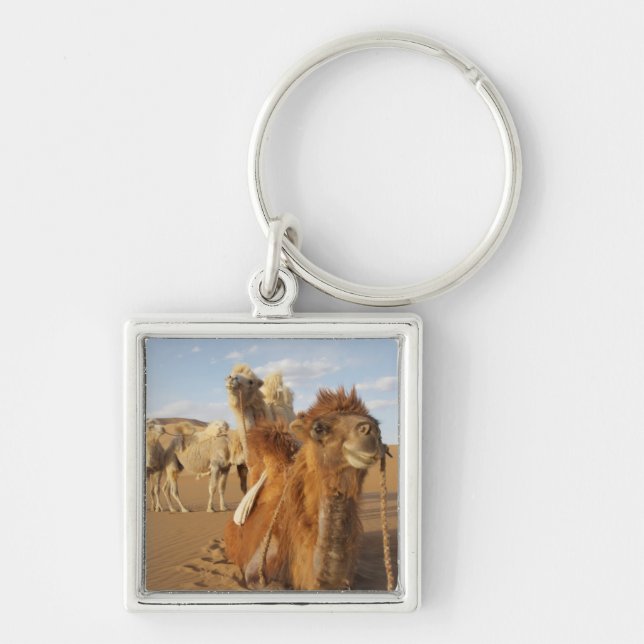 China, Inner Mongolia, Badain Jaran Desert 2 Key Ring (Front)