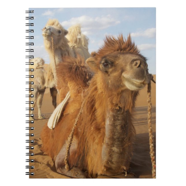 China, Inner Mongolia, Badain Jaran Desert 2 Notebook (Front)