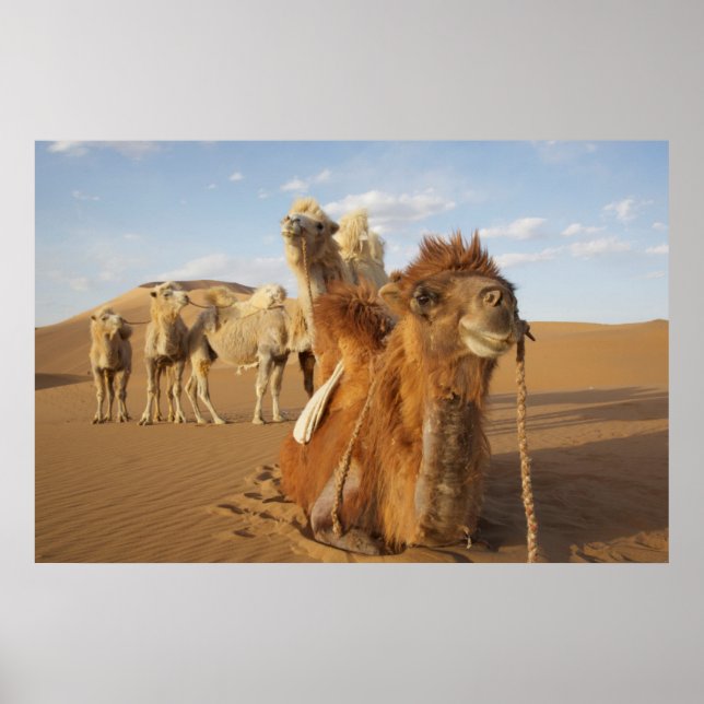 China, Inner Mongolia, Badain Jaran Desert 2 Poster (Front)