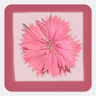 China Pink Sticker