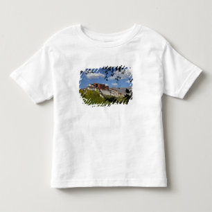 China, Tibet, Lhasa, Potala Palace Toddler T-Shirt
