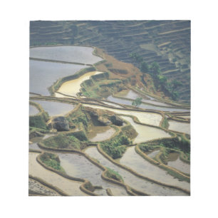 China, Yunnan Province. Flooded rice terraces of Notepad