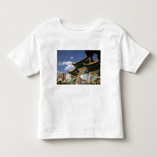 CHINA, Yunnan Province, Kunming. Memorial Arch Toddler T-Shirt (Front)