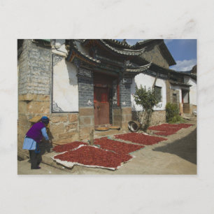 CHINA, Yunnan Province, Tianshengying. Drying Postcard