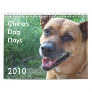 China's Dog Days 2010 Calendar