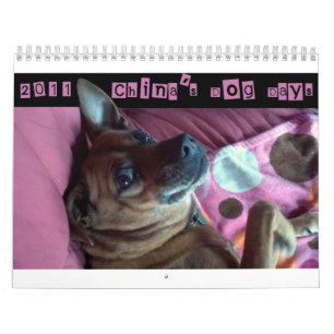 China's Dog Days 2011 Calendar