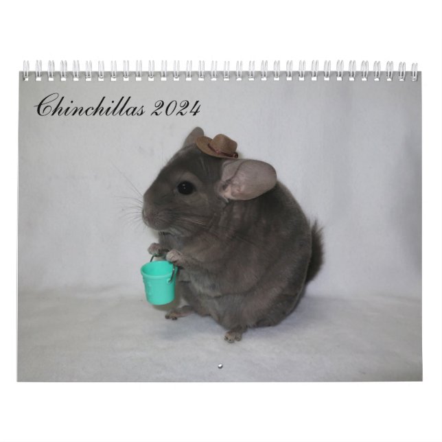 Chinchilla Calendar (Cover)