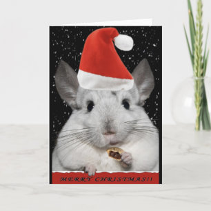 Chinchilla Christmas Card