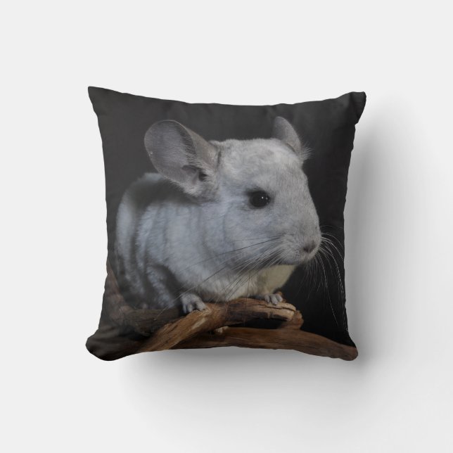 Chinchilla Cushion (Front)