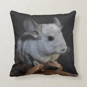 Chinchilla Cushion