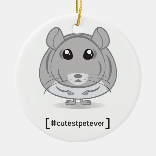 Chinchilla Cutest Pet Ever Ornament (Front)