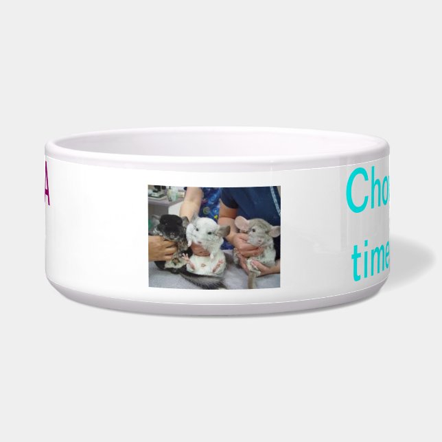 chinchilla food (Front)