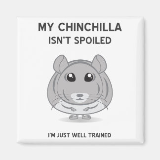 Chinchilla Isn't Spoiled Magnet