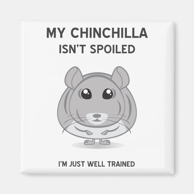 Chinchilla Isn't Spoiled Magnet (Front)