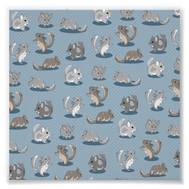 Chinchilla Pattern Photo Print (Front)