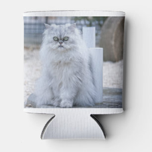chinchilla persian can cooler