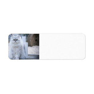 chinchilla persian return address label