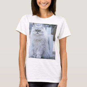 chinchilla persian T-Shirt