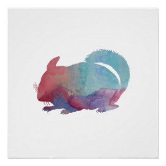 Chinchilla Poster