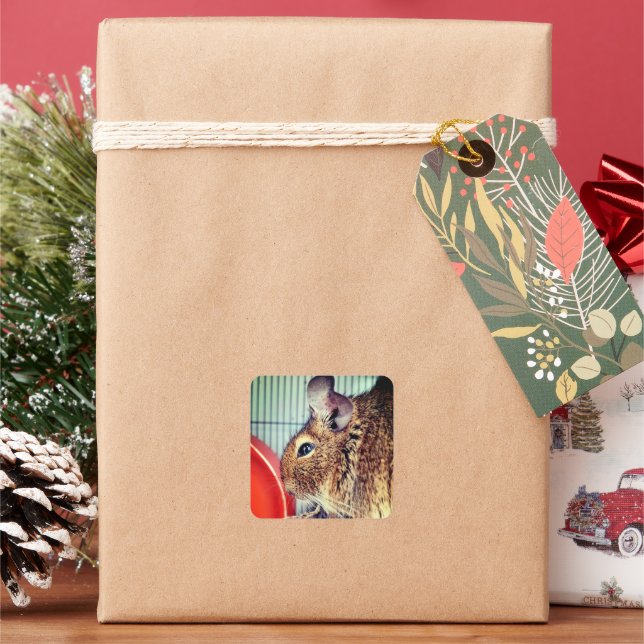 Chinchilla  square sticker (Holiday)