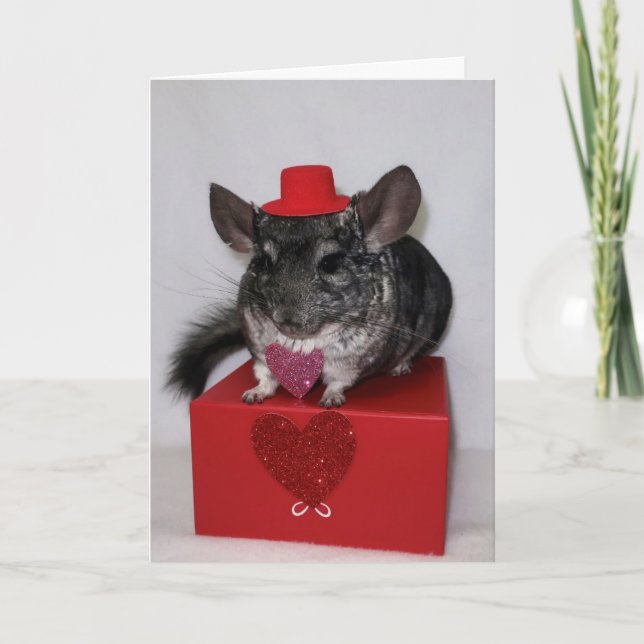 Chinchilla with red top hat and heart card (Front)