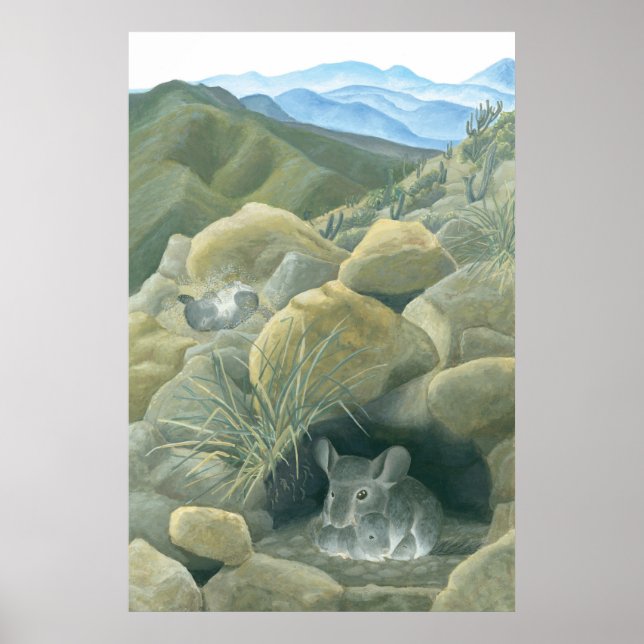 Chinchillas in the Wild Poster (Front)