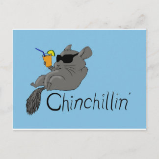 chinchillin postcard