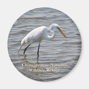 Chincoteague National Wildlife Great Heron Egret Magnet