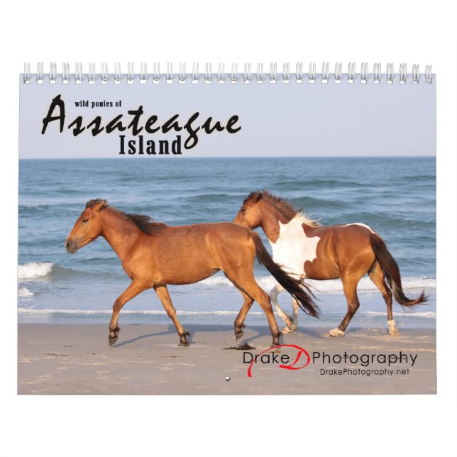 Chincoteague Pony Calendar (Cover)