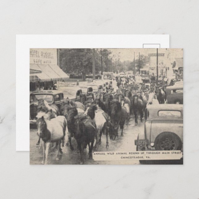 Chincoteague Pony Vintage 1941 Postcard (Front/Back)