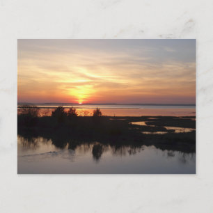 Chincoteague Sunset II Virginia Landscape Postcard