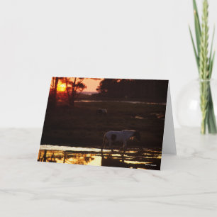 Chincoteague Walking in Water At Sunset Card