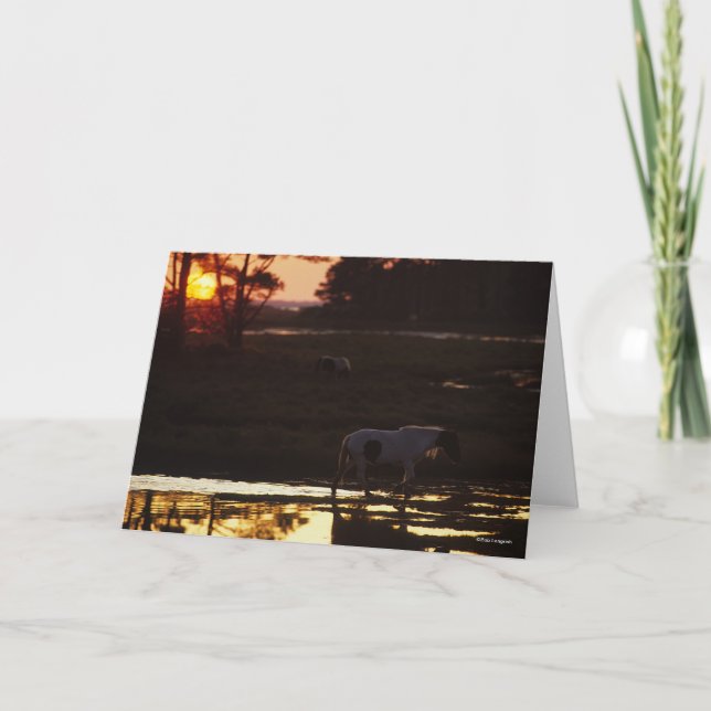 Chincoteague Walking in Water At Sunset Card (Front)