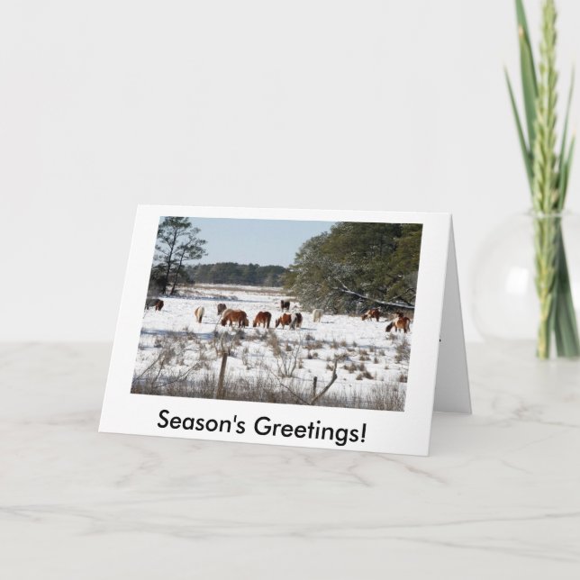Chincoteague Wild Pony Christmas Cards (Front)
