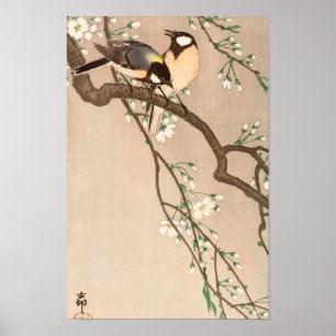 Chinese Asian Bird Chicadee Songbird Poster